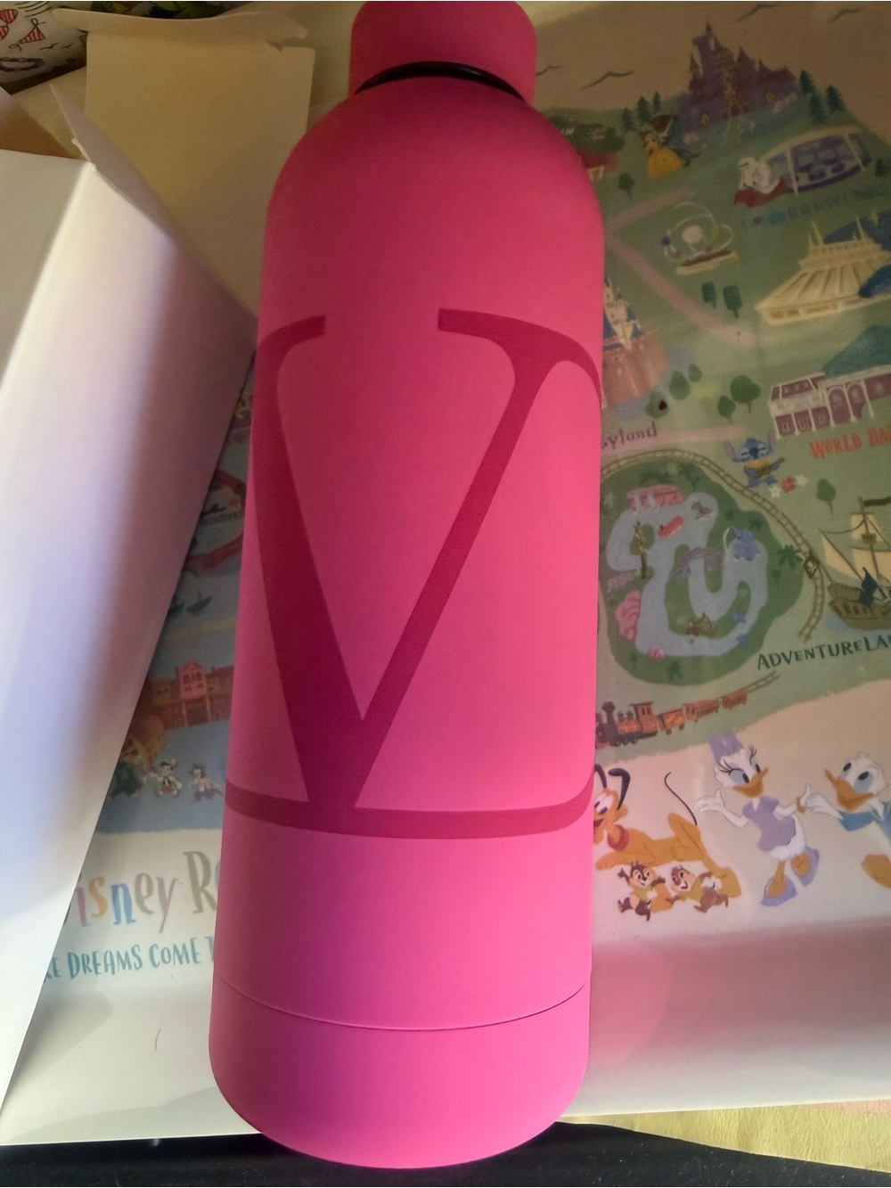 Valentino Beauty Gourde GWP stainless steel Water Bottle